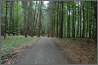 op weg naar huis