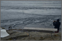 draaikolkoen in SALTSTRAUMEN