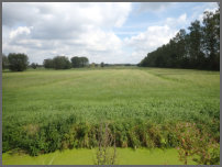 Landschap 