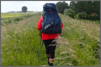 In de natuur wandelen